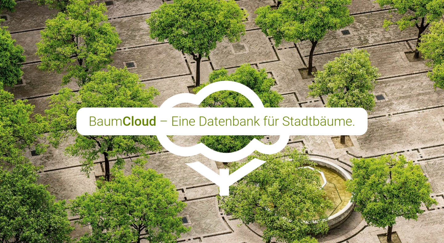 The image features an aerial view of a city park with trees and pathways, overlaid with a logo for 'BaumCloud – Eine Datenbank für Stadtbäume' ('BaumCloud - a database for urban trees').